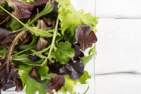 Fresh spring salad Stock Photos