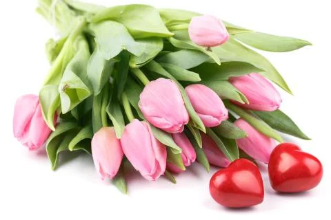 Fresh spring tulips Stock Photos