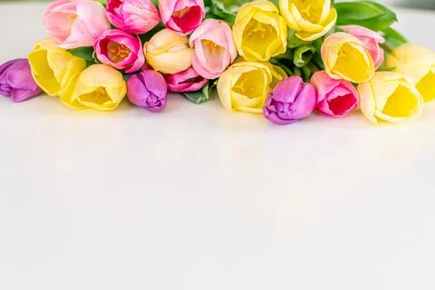 Fresh spring tulips. Stock Photos