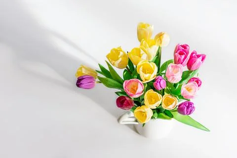 Fresh spring tulips. Stock Photos
