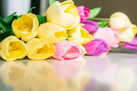 Fresh spring tulips. Stock Photos