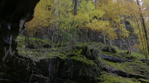 Fresh spring water dripping down over a black rock. Stock Footage 57832536