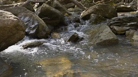 Fresh Spring Water Flowing Stock-Footage 76116980