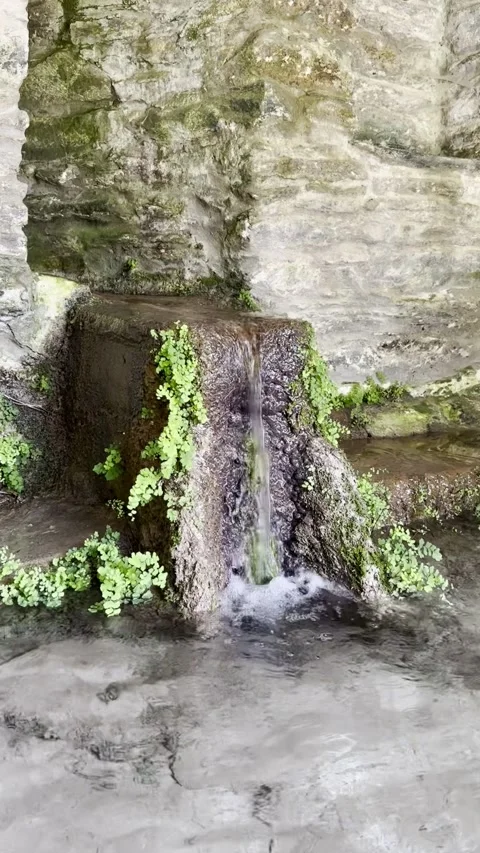 Fresh Spring Water Flowing Over Moss Covered Stone Stock Footage 336965071
