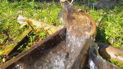 Fresh spring water flowing through traditional bamboo channel in rural area Stock Footage 340199625