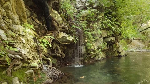 Fresh Spring Water Flowing From Tree Roots on Rock in Fethiye, Turkey Stock Footage 326214256