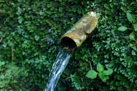 Fresh Spring Water Streams from Rustic Bamboo Spout Against Lush Green Moss.. Stock Photos