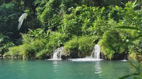 The fresh springs in river at the deep forest. nature footage Stock Footage 160563142