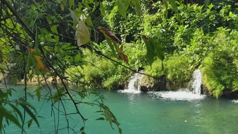 The fresh springs in river at the deep forest. nature footage Stock Footage 160796532