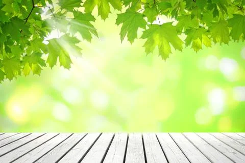 Fresh springtime template Stock Photos