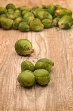 Fresh sprouts Stock Photos