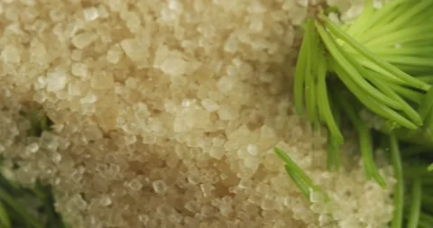 Fresh spruce tips and brown cane sugar 動画素材 200790186