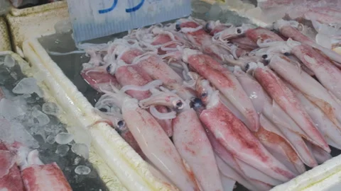 Fresh squid counter with thai language label Stock-Footage 333092805