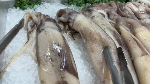 Fresh Squid Video stock 295815844