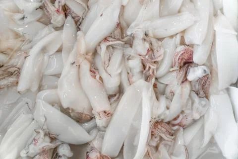 Fresh squid on ice Foto stock