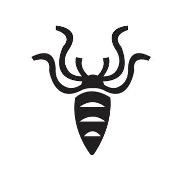 Fresh squid isolated Illustrazione stock