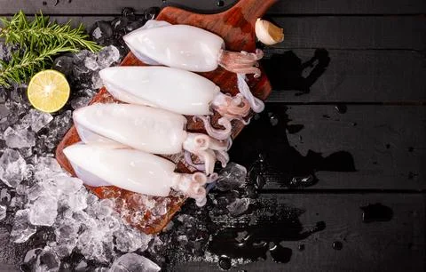 Fresh squid or raw squid on a wooden board with ingredients of Green rosema.. Stock Photos