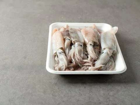 Fresh squid in packaging container Stock Photos