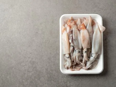 Fresh squid in packaging container Stock Photos