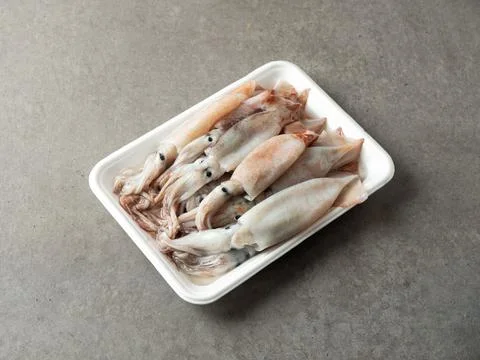 Fresh squid in packaging container Stock Photos