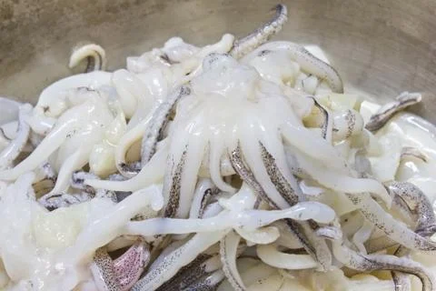 Fresh squid Stock Photos
