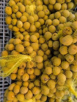 Fresh squid Foto stock