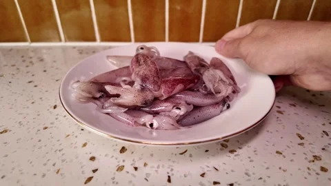 Fresh Squid on Plate in Kitchen Stock Footage 262313523