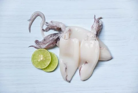 Fresh squid on table top view / Raw squid and lemon lime on white wooden back Foto stock