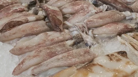 Fresh squids lying on ice counter at seafood market in Athens, Greece. Open Stock Footage 258237411