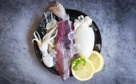Fresh squids octopus or cuttlefish for cooked food at restaurant or seafood m Stock Photos