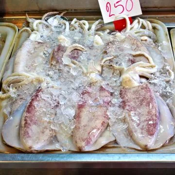 Fresh squids 스톡 사진