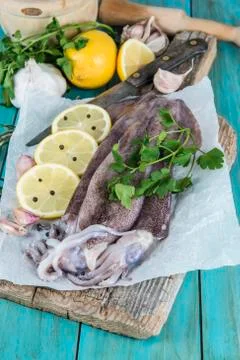 Fresh squids Stock Photos