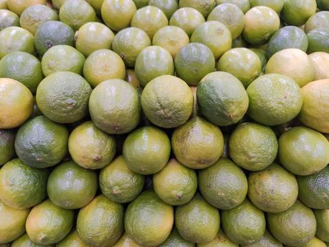 Fresh Stack of Lemons Stock Photos