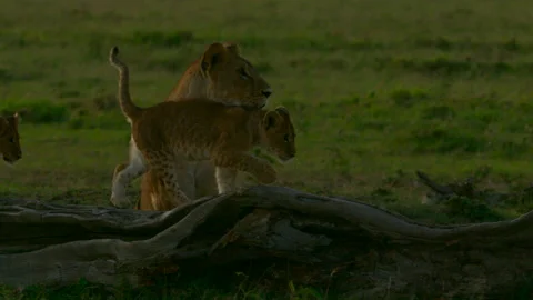 A fresh start Stock Footage 201935575