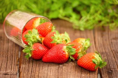 Fresh stawberries Stock Photos