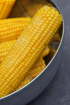 Fresh steamed corn Stock Photos