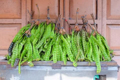 Fresh stink bean Stock Photos