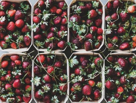 Fresh strawberries in boxes texture, background and wallpaper Stock Photos