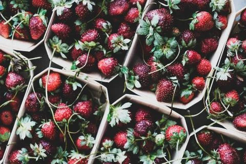 Fresh strawberries in boxes texture, background and wallpaper, close-up Stock Photos