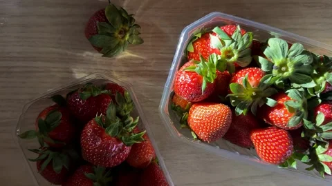 Fresh Strawberries Display Stock Footage 310655757