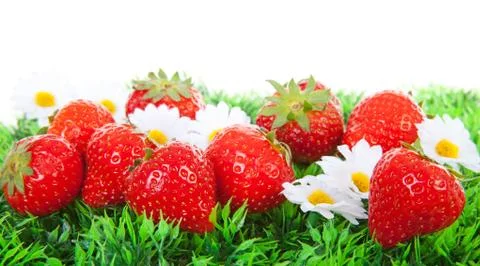 Fresh strawberries on grass Stock Photos
