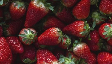 Fresh strawberries hipe Stock Photos