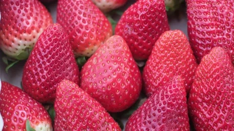 Fresh strawberries just picked closeup organic healthy food Stock Footage 236320153