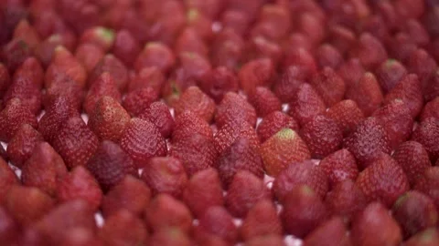Fresh Strawberries Macro Texture Background Natural Pattern Video stock 331556393