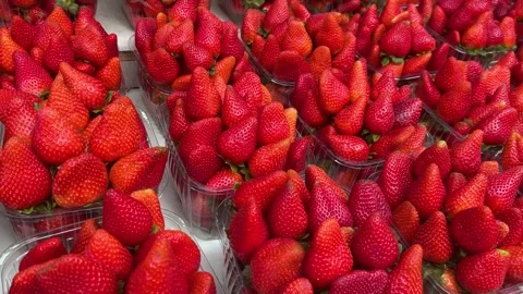 Fresh strawberries at market Video stock 302776853
