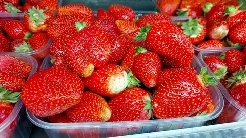 Fresh Strawberries Packed in Clear Box for Sale at Local Market During Summ.. Stock Photos
