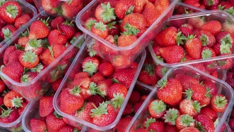 Fresh strawberries packed in plastic containers for sale Stock Footage 310438172