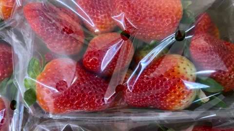 Fresh strawberries packed in transparent plastic foil from greengrocer Stock Footage 303661181