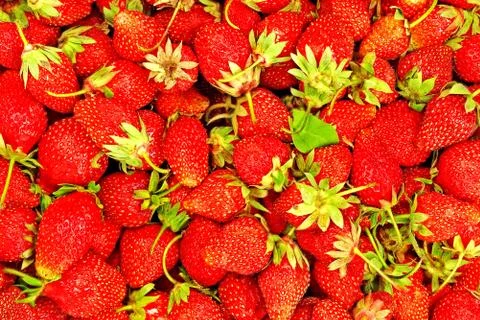 Fresh strawberries. Stock Photos