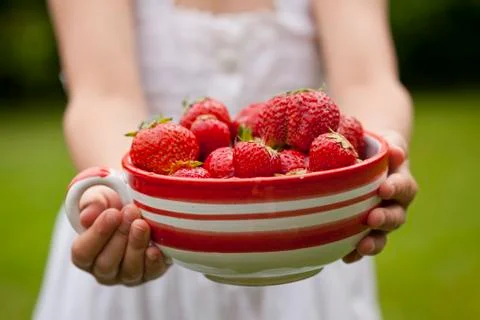 Fresh strawberries Foto stock